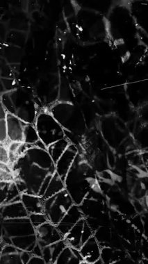 Dikey. Koyu grunge dokuları ve hareketli pürüzlü desenler. Yüksek kalite 4k görüntü