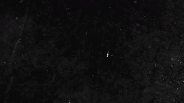 Dusty Scratches ile Eski Film Kaplaması. Yüksek kalite 4k görüntü