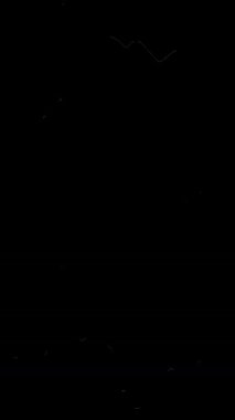 Çizikler, toz ve saçlarla ilgili film dokusunu inceleriz. Yüksek kalite 4k görüntü