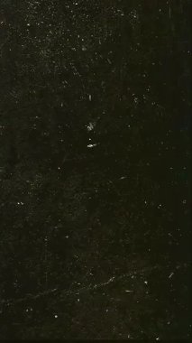Vintage Toz Efektiyle Dikey Çizilmiş Film Grain Kaplaması. Yüksek kalite 4k görüntü
