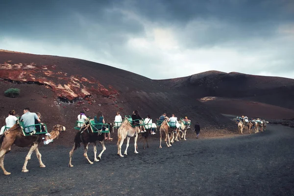 Lanzarote, İspanya; 30 Ağustos 2019: Timanfaya Ulusal Parkı 'nda deve safarisi turu yapan develer ve turistler
