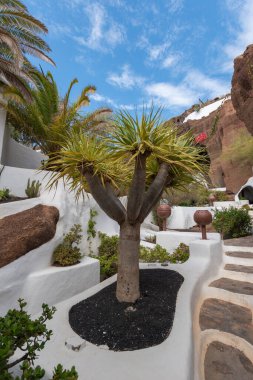 Lanzarote, İspanya - 18 Ocak 2020: Lanzarote Adası 'ndaki Lago Mar Bahçeleri