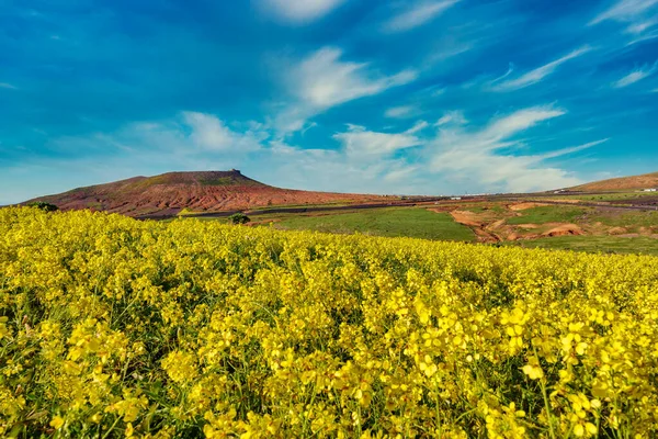 Lanzarote Adası, Kanarya Adaları, İspanya