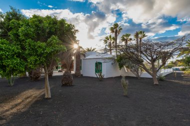 İspanya 'nın Kanarya Adaları' ndaki Lanzarote adasındaki tipik fotoğraf evi ve bahçeleri.
