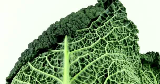 Chou Savoie Vert Biologique Tournant Sur Fond Blanc Légumes Isolés — Video