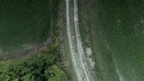 无人机降落在田野间的一条小街上 — 图库视频影像