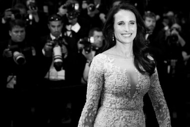 Sinema oyuncusu Andie Macdowell