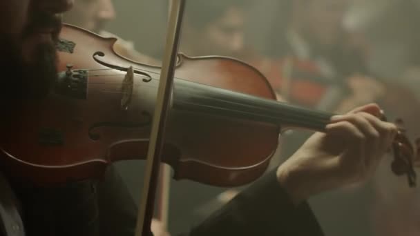 Струнный квартет играет классическую музыку, средняя съемка — стоковое видео