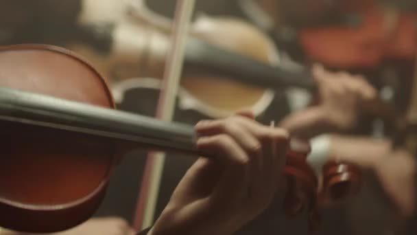 Струнний квартет грає класичну музику, середня стрілянина — стокове відео