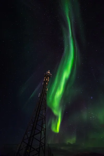 Luces septentrionales de Groenlandia —  Fotos de Stock