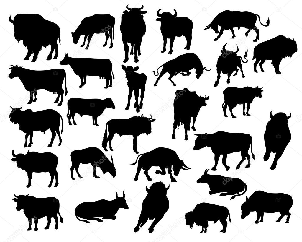 bull silhouettes on the white background