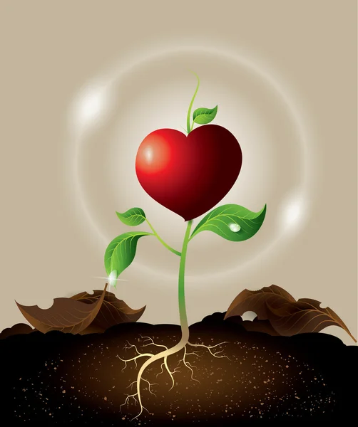 Concept of green sprout growing from heart. — Stock Vector