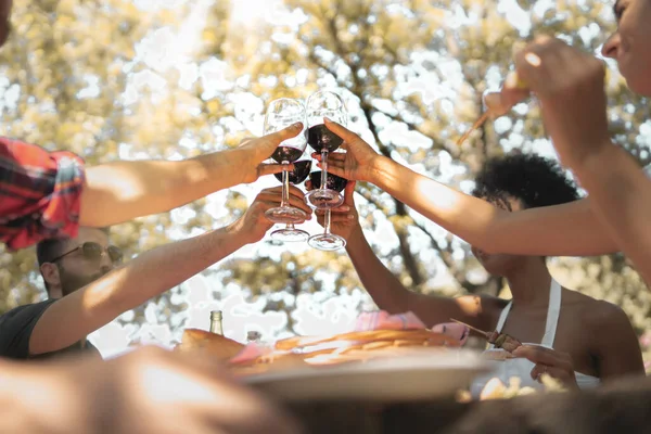 Grupa Przyjaciół Toasting Czerwonym Winem Razem Siedzi Stole Wsi Uroczystość — Zdjęcie stockowe