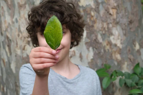 Chlapec Skrývající Zelenou Dovolenou Skrývá Tvář Kmene Stromu Koncept Přírody — Stock fotografie