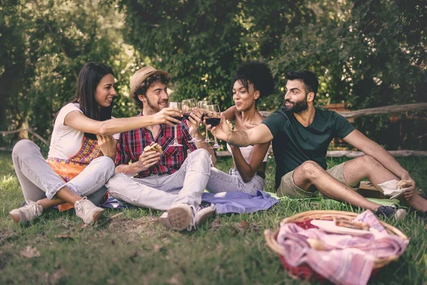 Multiraciale Vrienden Toasten Picknick Groep Jongeren Die Wijnglazen Het Gras — Stockfoto