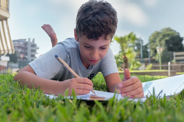 Joli Garçon Qui Fait Ses Devoirs Sur Herbe Enfant Lisant — Photo