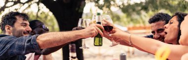 Farklı arkadaş grubunun neşeli bir açık hava tostuyla kadeh ve şişe kaldırışının geniş panoramik görüntüsü. Şarap ve birayla yaz buluşması, doğal ışık, arkadaşlık, kutlama ve sosyal bağ.