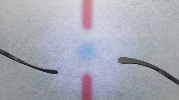 3d rendre Hockey Puck Drop animée rondelle tombe d'en haut et frappe de la glace avec deux bâton — Video