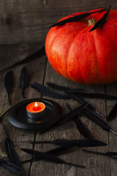 Big pumpkin, black feathers and  candle — Stock Photo, Image