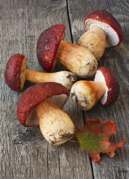 Белые грибы и листья клыка на деревянном фоне — стоковое фото