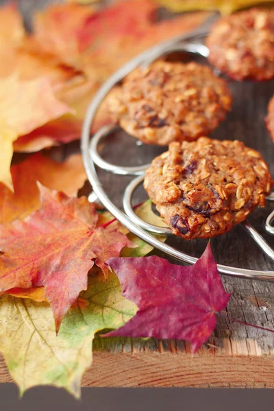 Oatmeal cookies on the grill on a table covered with autumn lea — Stock Photo, Image