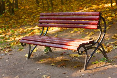 Sonbahar parkında bankta