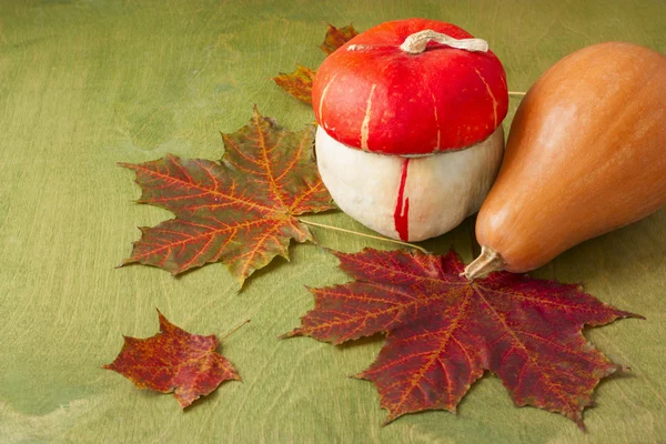 Kürbisse und bunte Ahornblätter auf grünem Holzgrund — Stockfoto