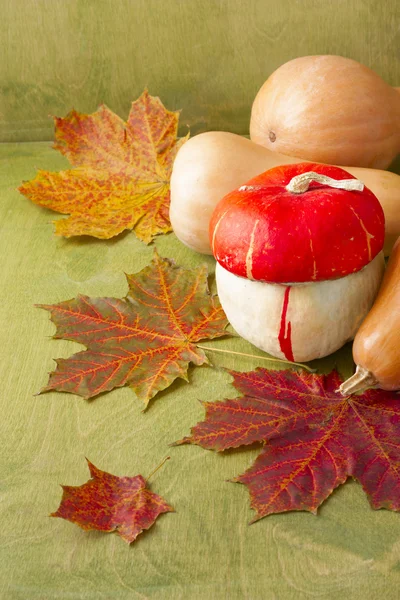 Verschiedene Kürbisse und bunte Ahornblätter auf grünem Holz — Stockfoto