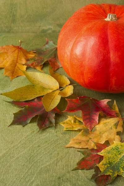 Kürbis und bunte Herbstblätter auf grünem Holzgrund — Stockfoto