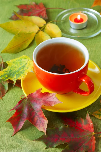 Šálek čaje a svíčka na stole s podzimní listí — Stock fotografie