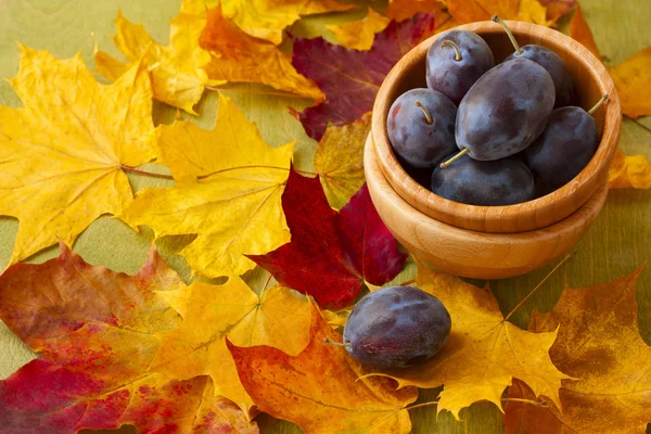 Frische Pflaumen im Holzanzug vor einem Hintergrund aus Herbstblättern. — Stockfoto