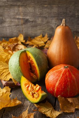 Farklı renkler ve kabak üzerinde bir parça üç kabak woo