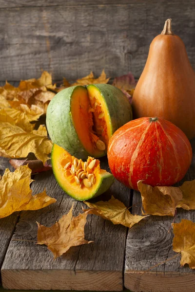 Three pumpkins of different colors and a piece of pumpkin on woo — Stock Photo, Image
