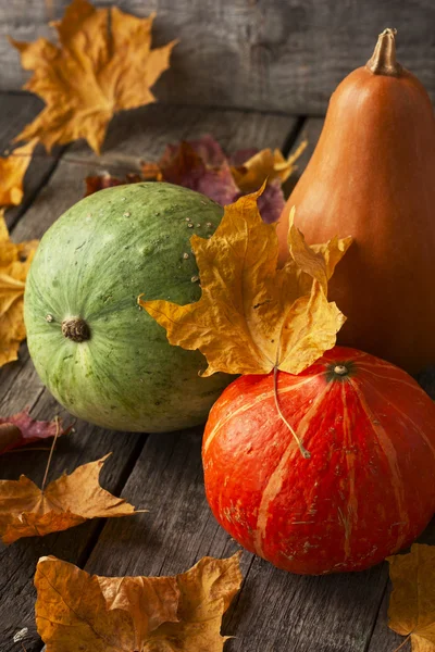 Three pumpkins of different colors on wooden background strewn w — Stock Photo, Image