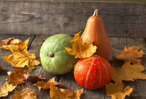 Drie pompoenen van verschillende kleuren op houten achtergrond bezaaid w — Stockfoto