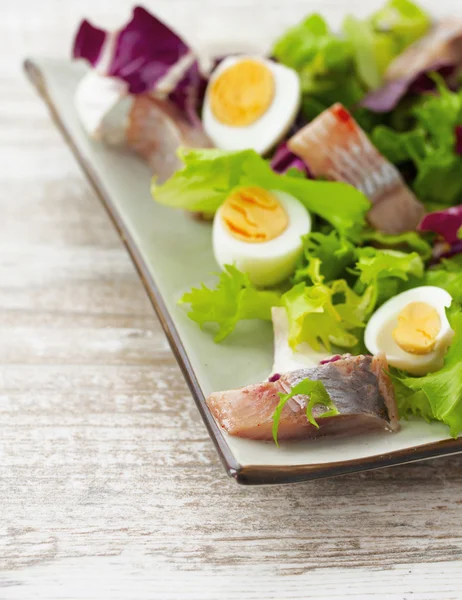 Saláta, hering, friss fűszernövények és fürj tojás, egy fából készült hátsó — Stock Fotó