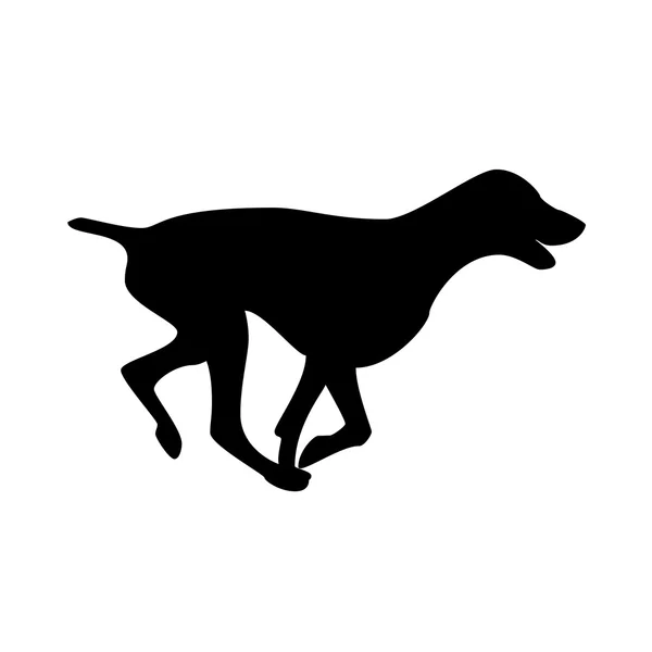 Perro que corre. Weimaraner corto, silueta aislada vector — Vector de stock