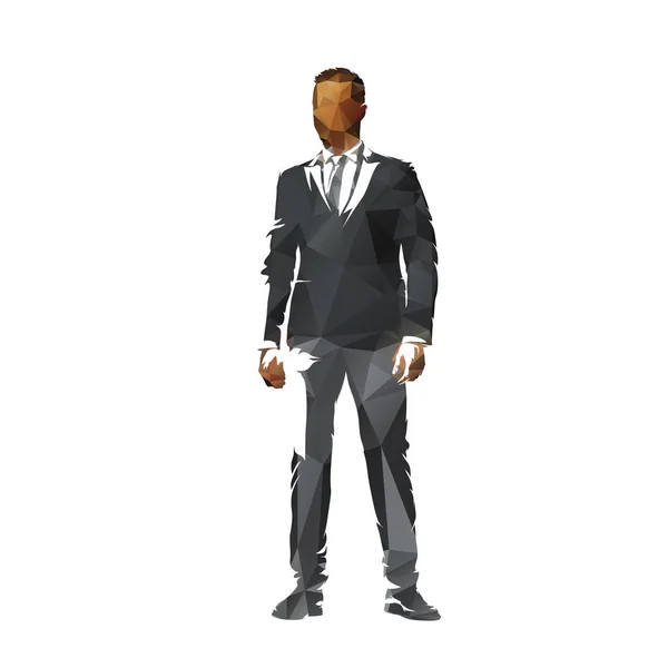 スーツ姿のビジネスマン 低多角形の抽象ベクトルシルエット 幾何学的な図面 隔離されたキャラクター — ストックベクタ