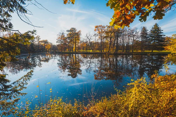 Živé Barvy Podzimu Parku Rybníkem Stromy Modrá Obloha — Stock fotografie