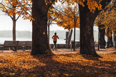 Parkta koşan kadın, sonbahar manzarası, yaşam tarzı fotoğrafı.