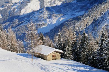 Kışın kar tabakası ile kaplı çatıları ile Alpine hut