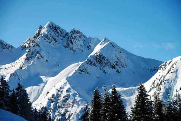 Alpine peaks covered with fresh snow the fallen — Stock Photo, Image