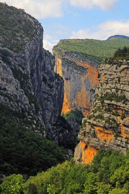 Büyük Kanyon manzarası ile yeşilliklerle kaplı