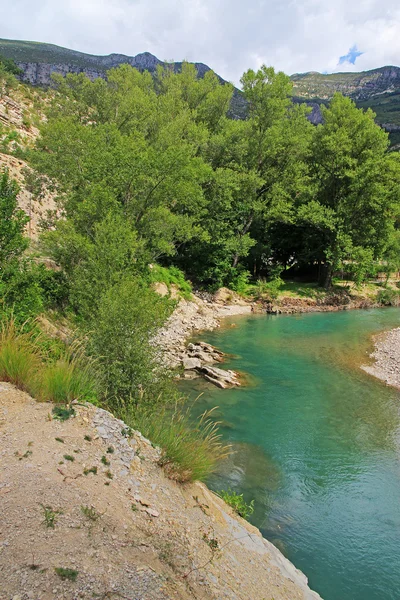 Weergave van de grand canyon bedekt met groen — Stockfoto