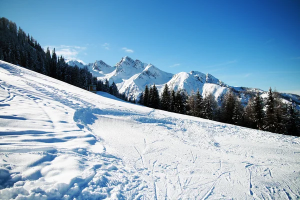 Alpine slope covered with white snow — Stock Photo, Image