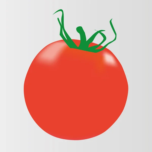 Векторный рисунок красного помидора — стоковый вектор
