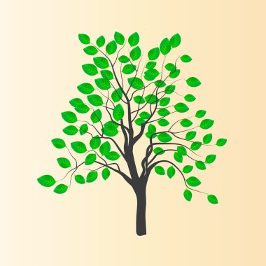 Vektör yeşil yaprakları ile genç ağaç çizimi