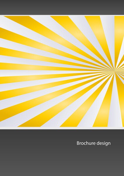 Vector business flyer template