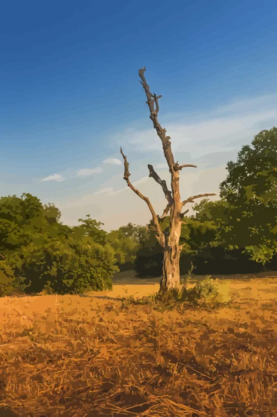 Realistischer trockener Vektorbaum. Sonnenuntergangsfarben. Vektorisiertes Bild — Stockvektor