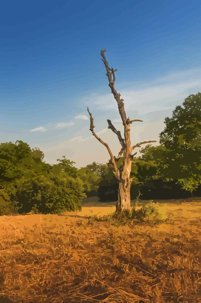 Árbol realista vector seco. Colores al atardecer. Imagen vectorizada — Archivo Imágenes Vectoriales